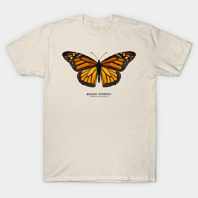 Monarch butterfly sweatshirt sales